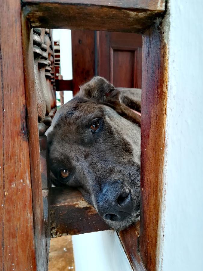 La Casa De Hercilia Boutique Barichara Kültér fotó